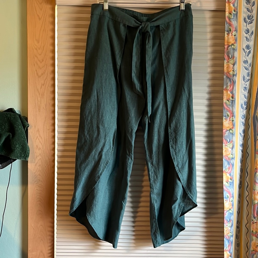 Patagonia Garden Island Pants. Size Medium. Teal Colored